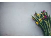 산길 이미지